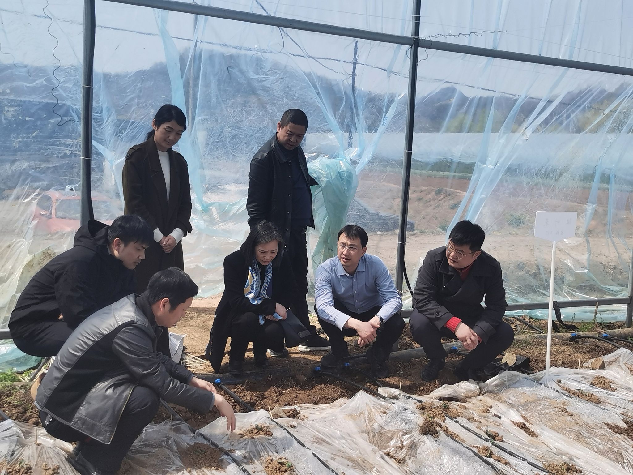 Betvictor中文版