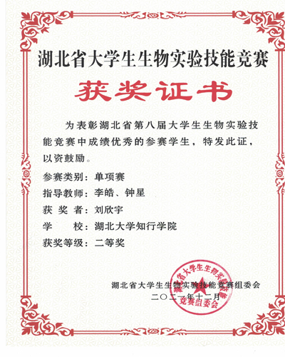 Betvictor中文版