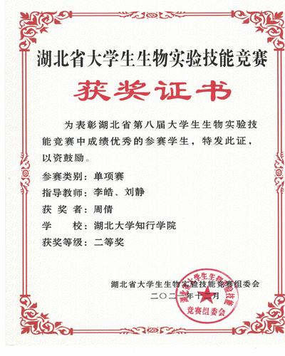 Betvictor中文版