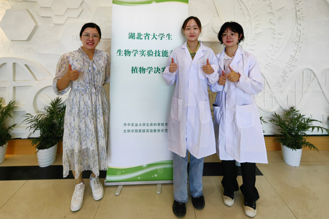 Betvictor中文版